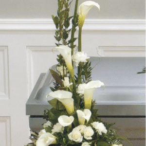 Le chic et élégant